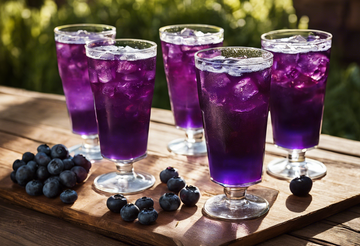 5 Refreshing Blueberry Ginger Ale Recipes for Summer Sipping