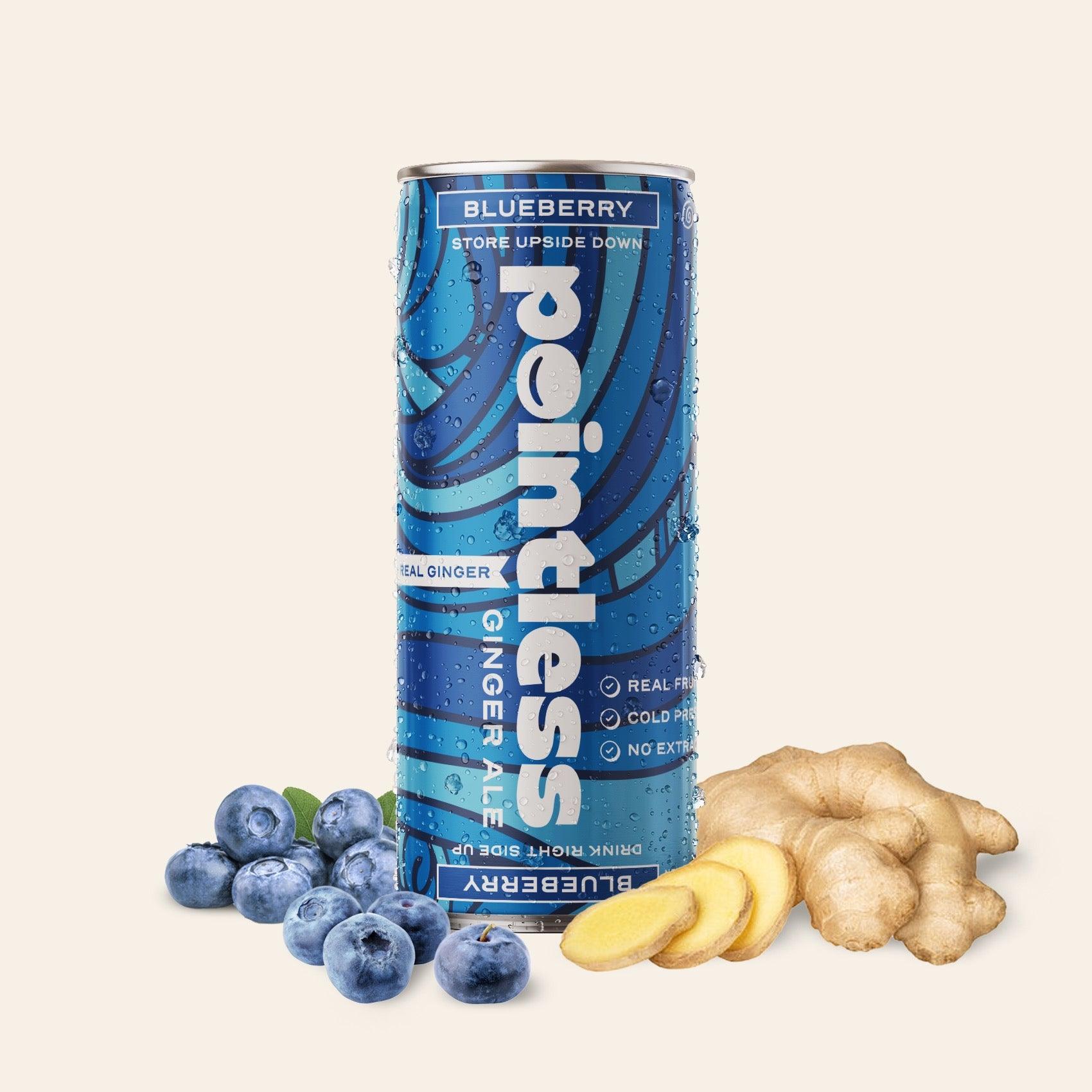 a can of blueberry ginger ale with blueberries and ginger