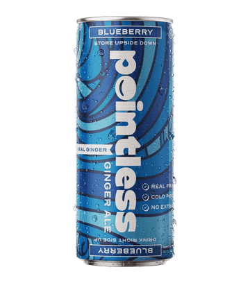 Pointless Blueberry Ginger Ale - 12pk
