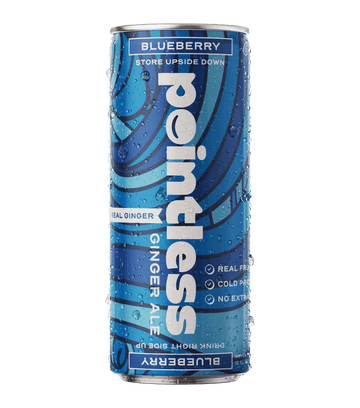 Pointless Blueberry Ginger Ale - 12pk