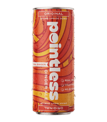 Pointless Ginger Ale - 12pk